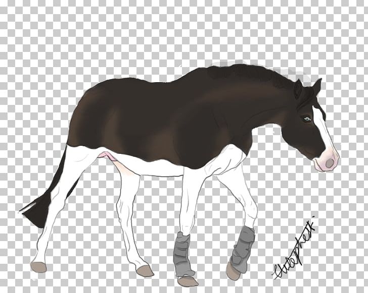 Mule Foal Mustang Stallion Mare PNG, Clipart,  Free PNG Download