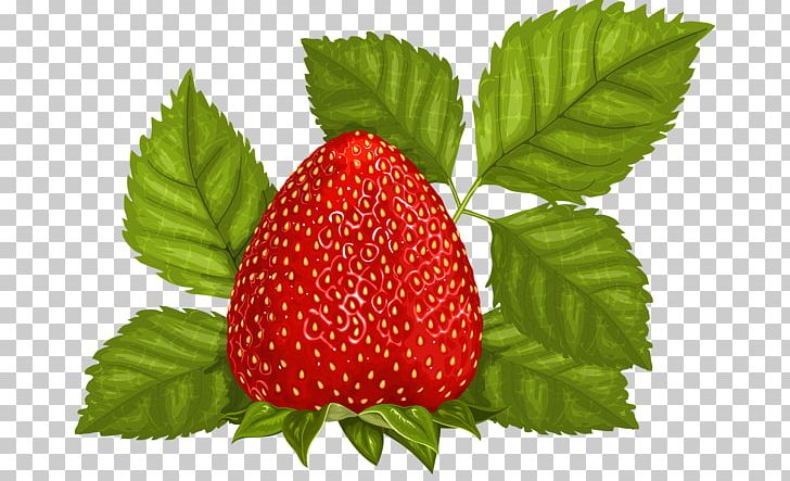 Strawberry Ice Cream Juice Fruit PNG, Clipart, Accessory Fruit, Amorodo, Berry, Food, Fruit Free PNG Download