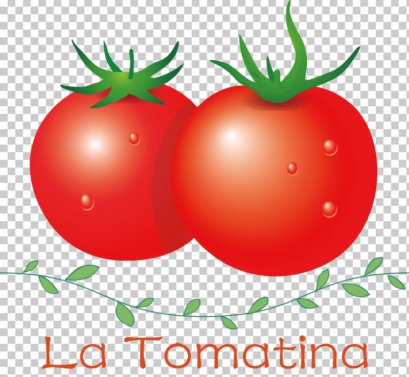 La Tomatina Tomato Throwing Festival PNG, Clipart, Bush Tomato, Clementine, Datterino Tomato, Fruit, Grapefruit Free PNG Download