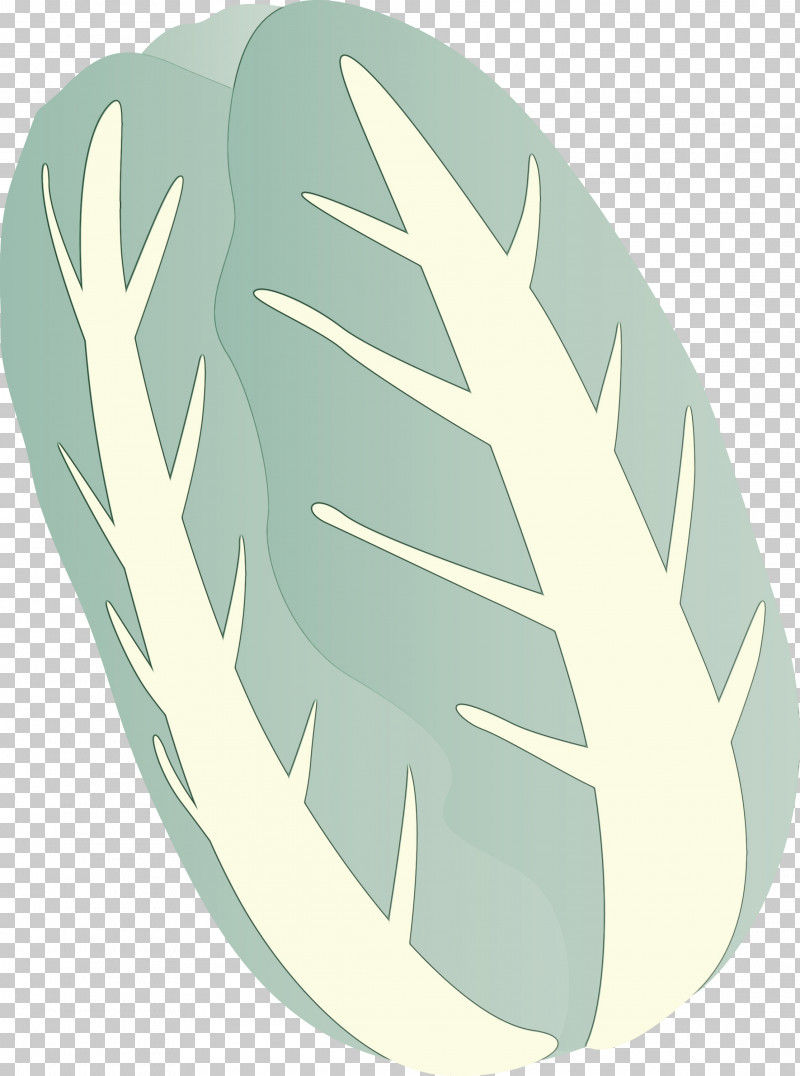 Feather PNG, Clipart, Feather, Hand, Leaf, Nappa Cabbage, Paint Free PNG Download