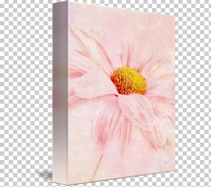 Transvaal Daisy Acrylic Paint Still Life Photography Floral Design PNG, Clipart, Acrylic Paint, Acrylic Resin, Daisy Family, Floral Design, Flower Free PNG Download
