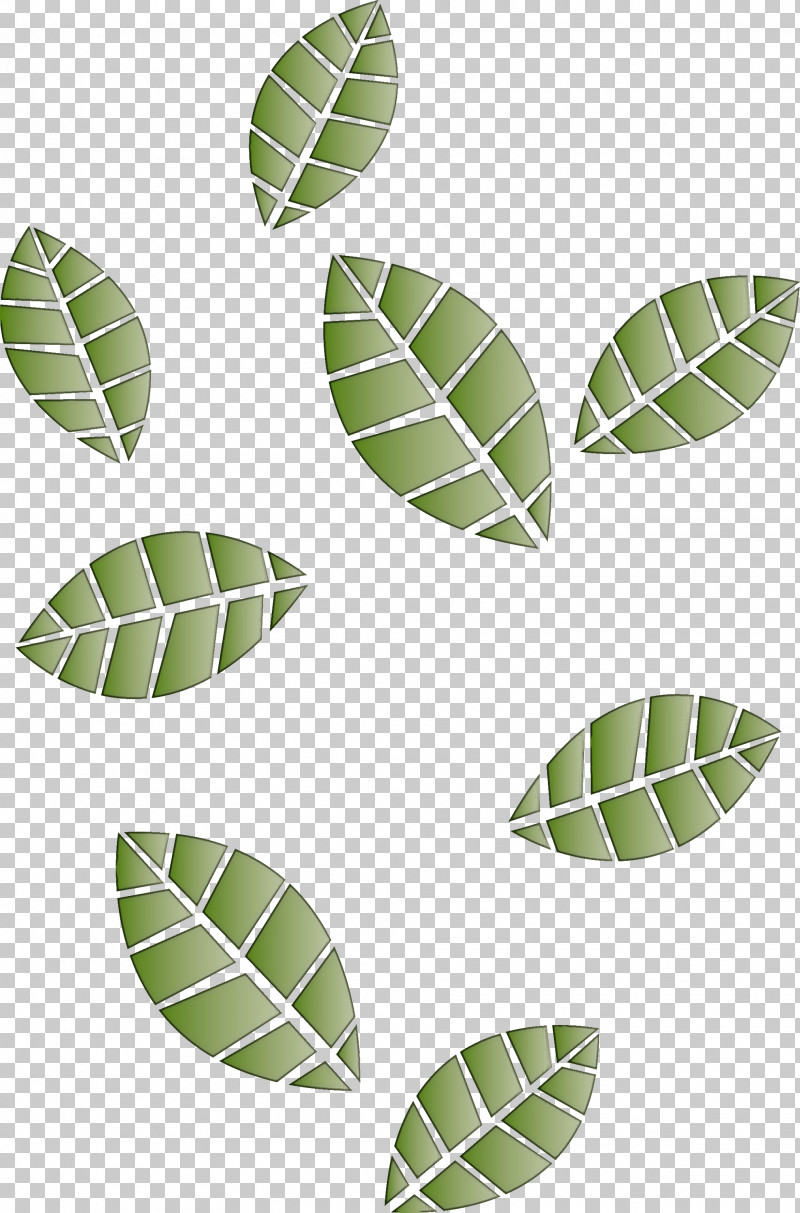 Leaf Plant Pattern Flower Tree PNG, Clipart, Flower, Leaf, Plant, Tree Free PNG Download