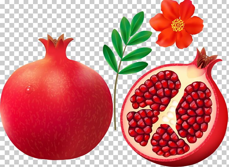 Pomegranate Fruit PNG, Clipart, Accessory Fruit, Berry, Cranberry, Diet Food, Food Free PNG Download