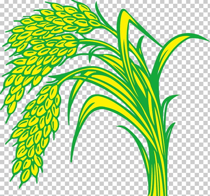Rice Paddy Field PNG, Clipart, Brown Rice, Cartoon, Commodity, Download,  Flora Free PNG Download