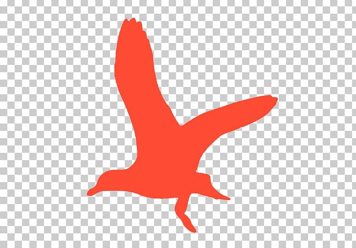 Salisbury University Gulls Flyer PNG, Clipart, Beak, Bird, Campus, College Life, Crop Free PNG Download