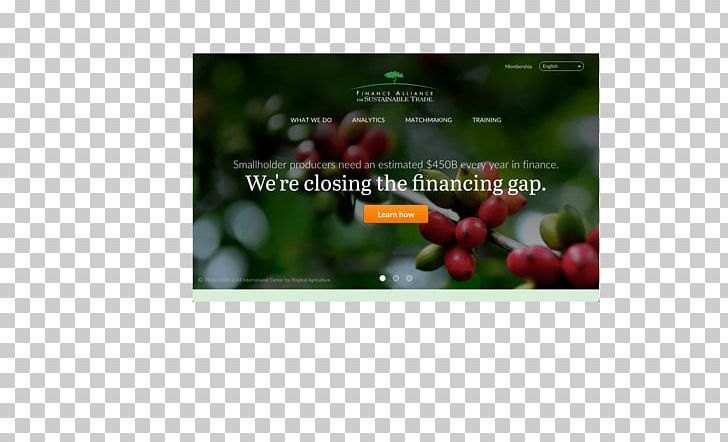 Video Plant Advertising Brand Multimedia PNG, Clipart, Advertising, Brand, Display Device, Flora, Food Drinks Free PNG Download