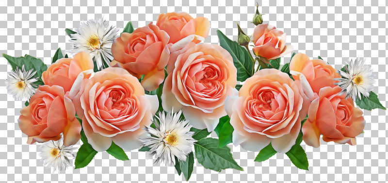 Garden Roses PNG, Clipart, Artificial Flower, Cabbage Rose, Chrysanthemum, Cut Flowers, Floral Design Free PNG Download