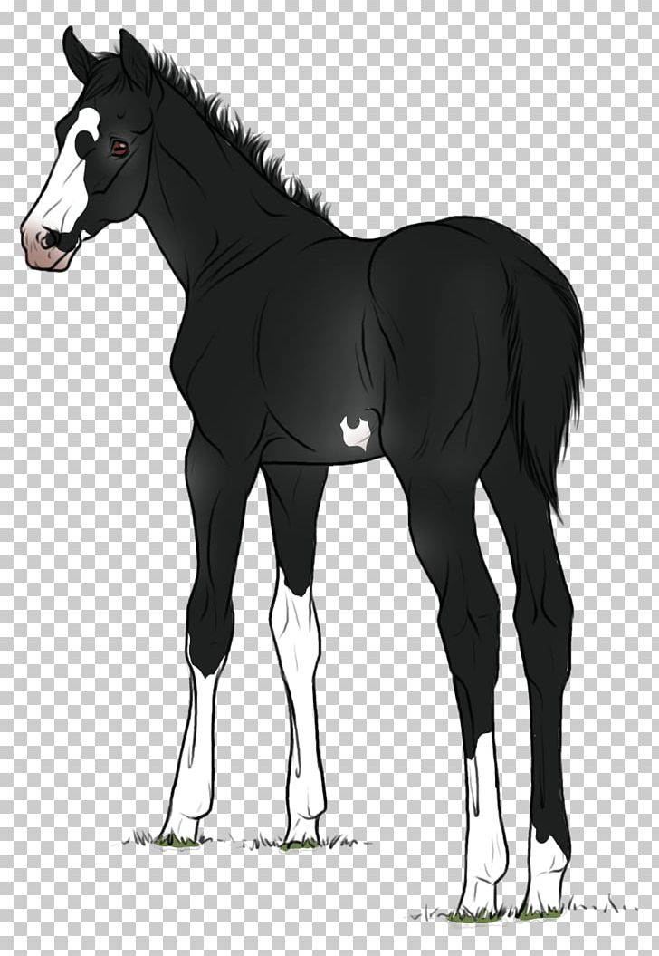 Foal Mustang Stallion Colt Mare PNG, Clipart, Abandon, Bridle, Cartoon, Character, Colt Free PNG Download