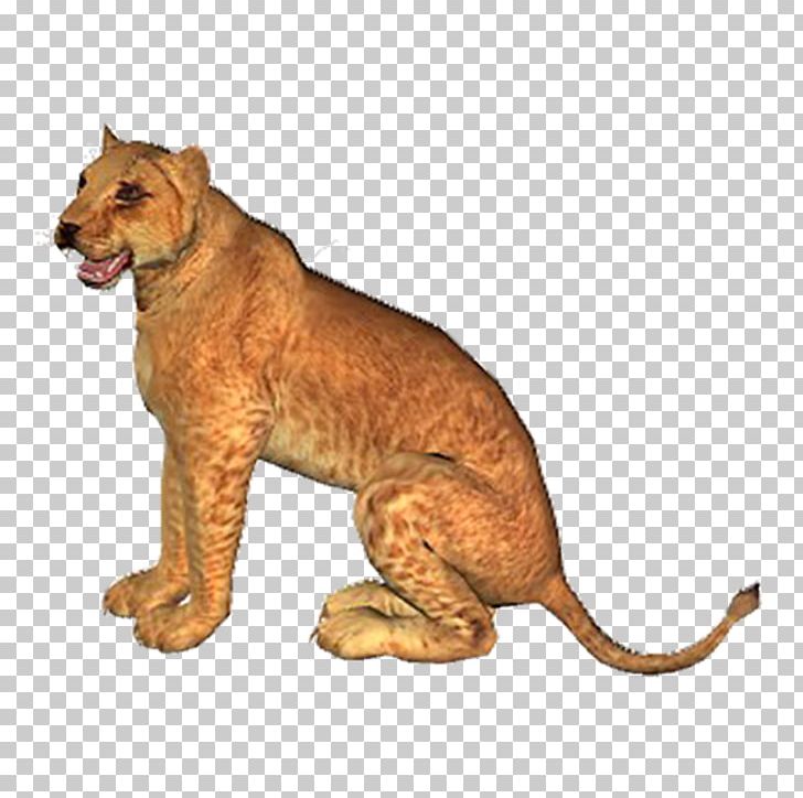 Lion Tiger Computer File PNG, Clipart, Animal, Animals, Big Cat, Big Cats, Carnivoran Free PNG Download