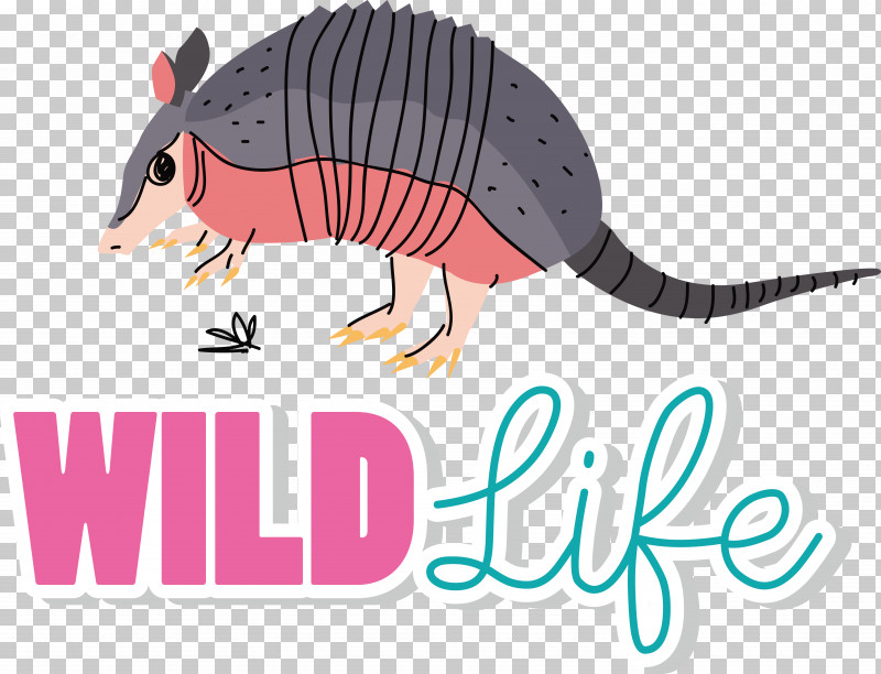 Cingulata Armadillos Cartoon Snout Meter PNG, Clipart, Armadillos, Cartoon, Cingulata, Meter, Snout Free PNG Download