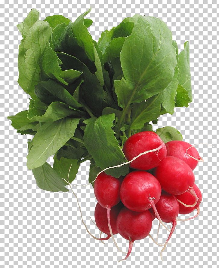 Daikon Leaf Vegetable PNG, Clipart, Beet, Beetroot, Berry, Chard, Cranberry Free PNG Download
