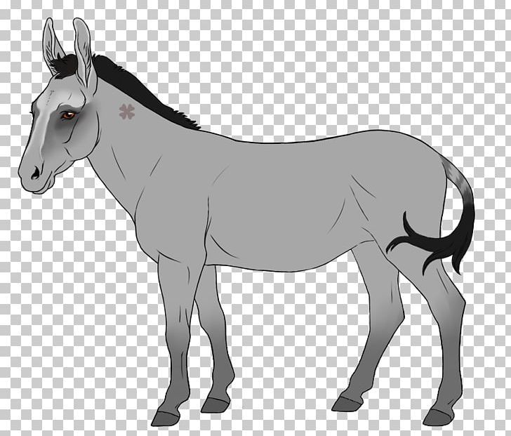 Mule Stallion Mare Mane Donkey PNG, Clipart, Animals, Bridle, Cartoon, Colt, Donkey Free PNG Download