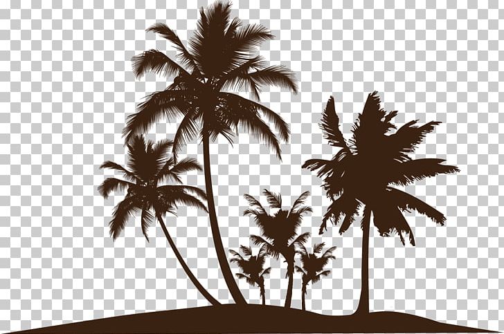 Wall Decal Arecaceae Sticker PNG, Clipart, Arecales, Areca Vector, Betel Nut, Black And White, Botany Free PNG Download