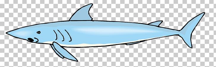 Requiem Shark Marine Biology Marine Mammal Fin PNG, Clipart, Animals, Big Ben, Big Shark, Big Vector, Biology Free PNG Download