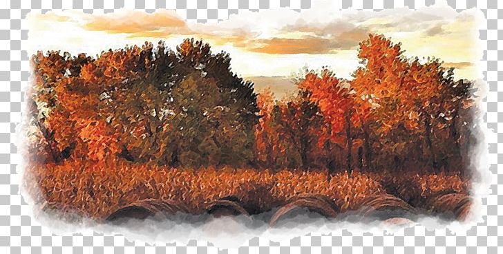 Rising Sun Ohio County Tourism Painting Art PNG, Clipart, Art, Autumn, Email, Geological Phenomenon, Geology Free PNG Download