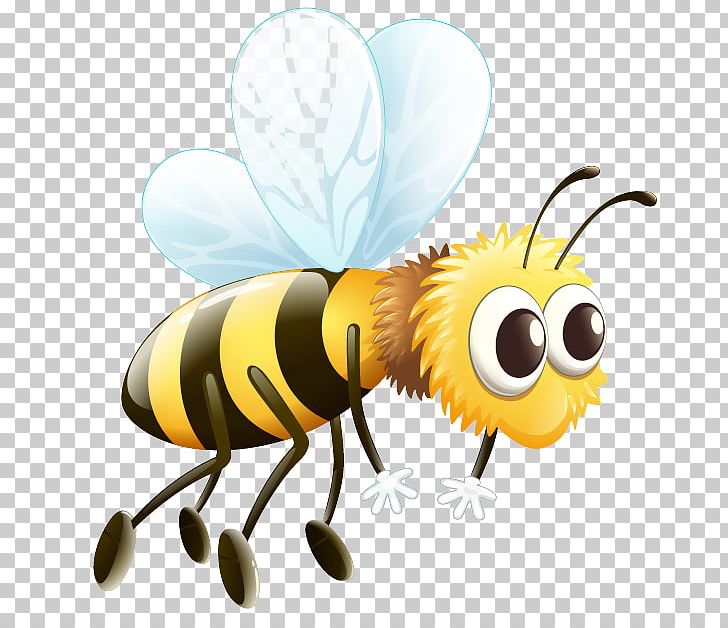 Western Honey Bee Graphics Drone PNG, Clipart, Arthropod, Bee, Beehive, Drawing, Drone Free PNG Download