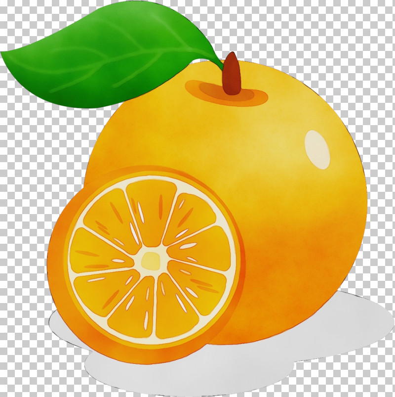 Orange PNG, Clipart, Apple, Bitter Orange, Clementine, Grapefruit, Lemon Free PNG Download