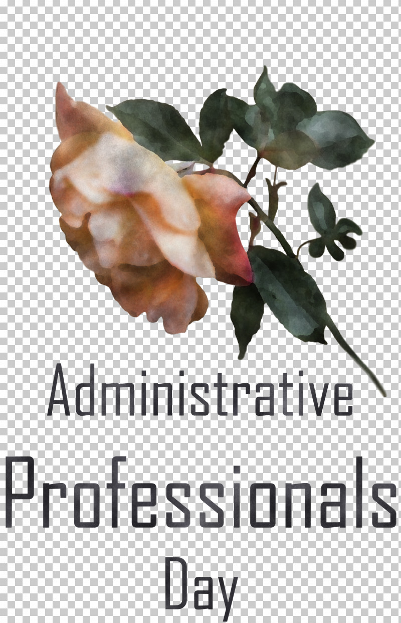 Administrative Professionals Day Secretaries Day Admin Day PNG, Clipart, Admin Day, Administrative Professionals Day, Biology, Branching, Flower Free PNG Download