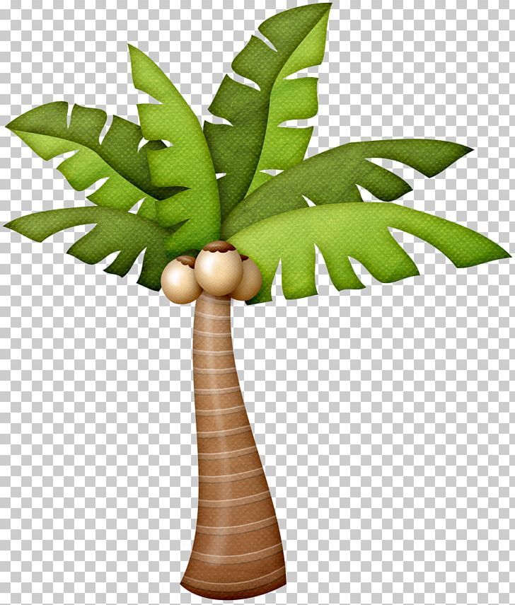 Arecaceae Drawing Tree Art Photography PNG, Clipart, Arecaceae, Arecales, Art, Art Photography, Description Free PNG Download