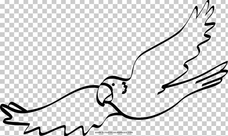 Black And White Coloring Book Drawing Line Art PNG, Clipart, Arm, Bird, Black, Carnivoran, Cartoon Free PNG Download