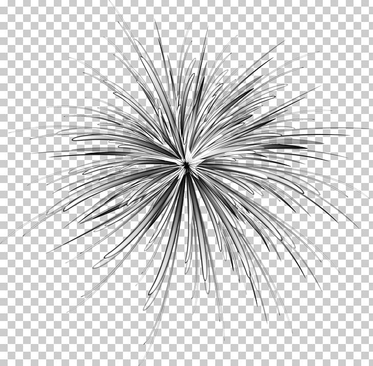 Dandelion Black And White PNG, Clipart, Air, Background Black, Black, Computer Wallpaper, Download Free PNG Download