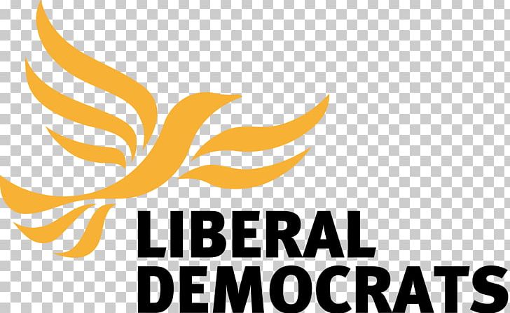 Liberal Democrats United Kingdom Election Political Party Member Of Parliament PNG, Clipart, Brand, Candidate, Core, Davis, Election Free PNG Download