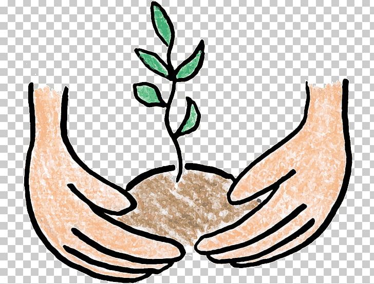 Tree Planting Open Portable Network Graphics Sowing PNG, Clipart, Arbor Day, Artwork, Commodity, Download, Fern Free PNG Download