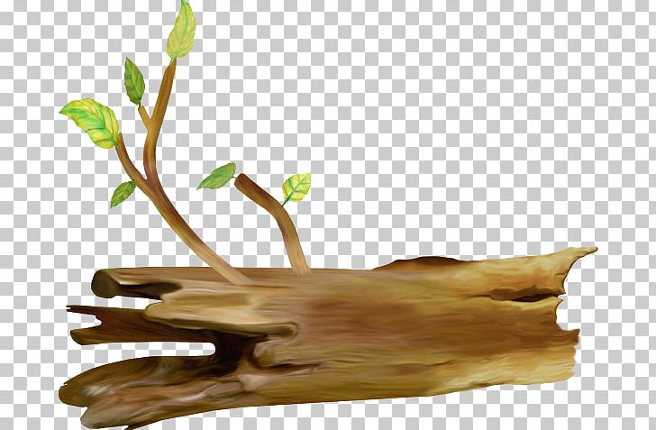 Tree Stump Trunk Coarse Woody Debris Drawing PNG, Clipart, Branch, Coarse Woody Debris, Color, Drawing, Flower Free PNG Download