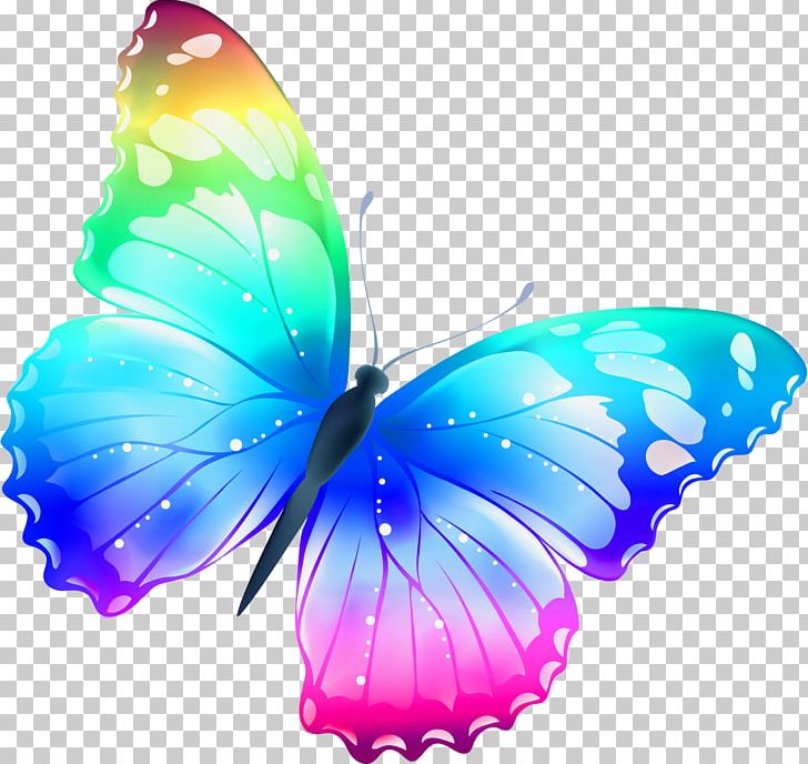 Butterfly Rainbow Color PNG, Clipart, Animal, Aqua, Blue, Brush Footed Butterfly, Butterfly Free PNG Download