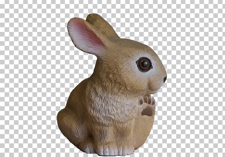 Domestic Rabbit Hare Fauna Snout PNG, Clipart, Animals, Domestic Rabbit, Fauna, Hare, Mammal Free PNG Download