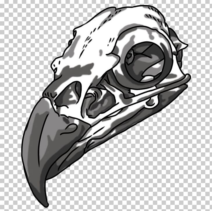 Drawing Bald Eagle Skull Bone PNG, Clipart, Art, Automotive Design, Bald Eagle, Black And White, Bone Free PNG Download