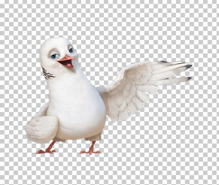 European Herring Gull Water Bird Gulls Goose PNG, Clipart, American Herring Gull, Amino Apps, Anatidae, Animals, Background Free PNG Download