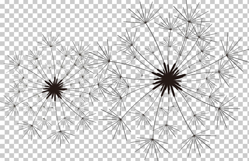 Pattern Line Art Thorns, Spines, And Prickles Symmetry Petal PNG, Clipart, Computer, Dandelion, Line Art, M, Paint Free PNG Download