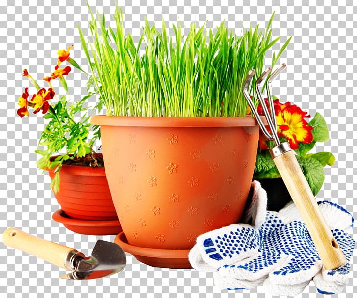 Online Shopping Price Artikel Gardening PNG, Clipart, Alternative Medicine, Artikel, Cold Frame, Flowerpot, Garden Free PNG Download