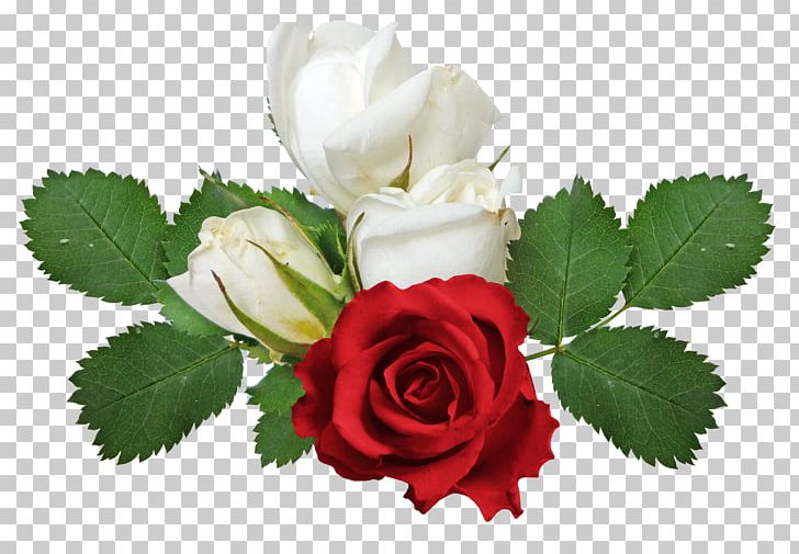 Rose Flower PNG, Clipart, Creative, Creative Valentines Day, Creative Wedding, Cut Flowers, Day Free PNG Download