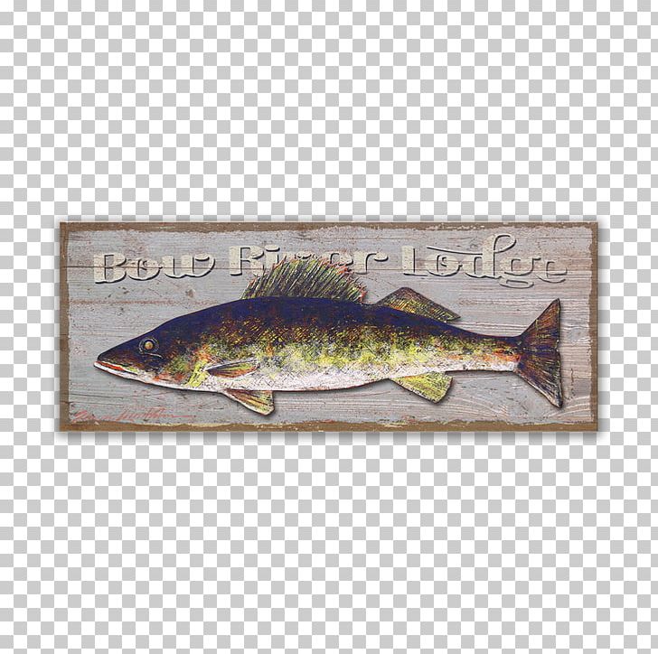 Walleye Fishing Fly Fishing Trout PNG, Clipart, Aluminium, Craft, Desktop Wallpaper, Fauna, Fish Free PNG Download