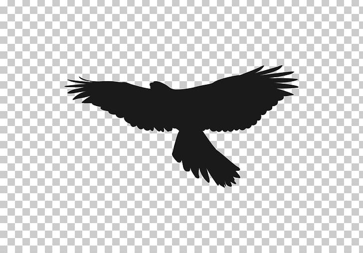 Warsaw Bird Silhouette PNG, Clipart, Accipitriformes, Animals, Bald Eagle, Beak, Bird Free PNG Download