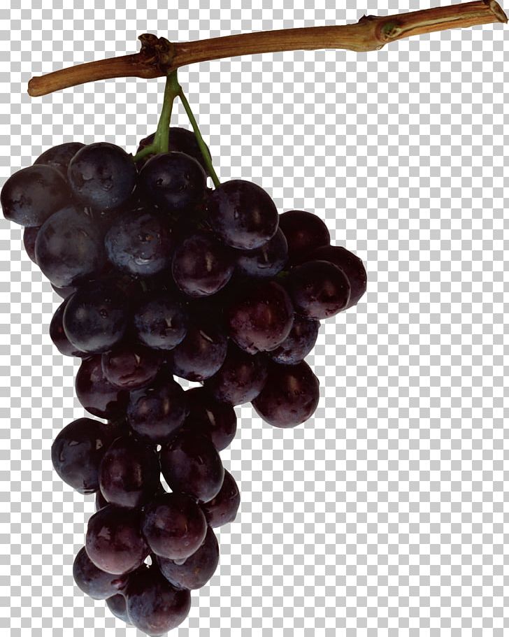 Grapevines Kyoho Food Fruit PNG, Clipart, Berry, Flowering Plant, Food, Fruit, Fruit Nut Free PNG Download