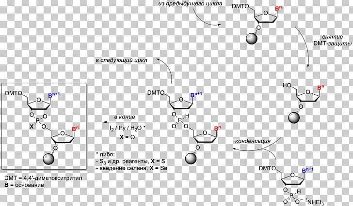 Oligonucleotide Synthesis Chemistry Nucleic Acid Chemical Synthesis PNG, Clipart, Angle, Area, Chemical Synthesis, Chemistry, Circle Free PNG Download