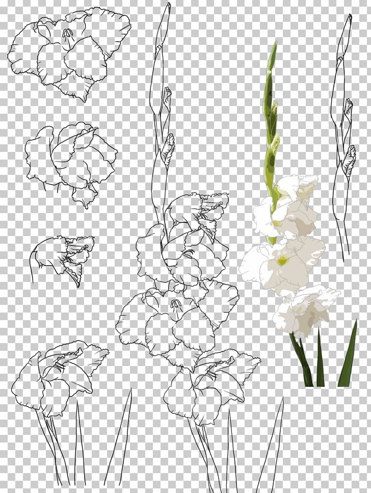 Floral Design Gongbi Flower Gladiolus Xd7gandavensis PNG, Clipart, Branch, Chinese Painting, Encapsulated Postscript, Flower, Flower Arranging Free PNG Download