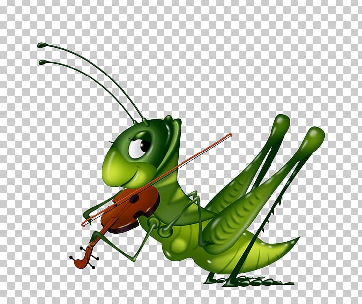 Insect Cricket Locust PNG, Clipart, Animal, Animals, Arthropod, Cricket, Cricket Fighting Free PNG Download