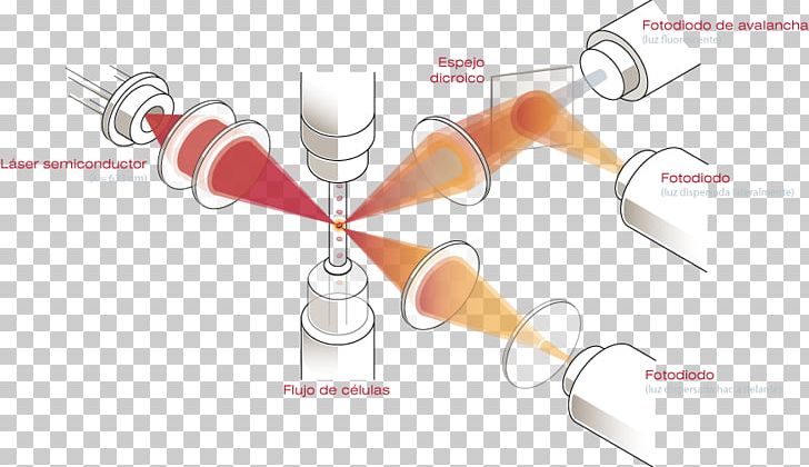 Reticulocyte Hematology Flow Cytometry Red Blood Cell PNG, Clipart, Analyser, Angle, Automated Analyser, Blood, Cell Free PNG Download