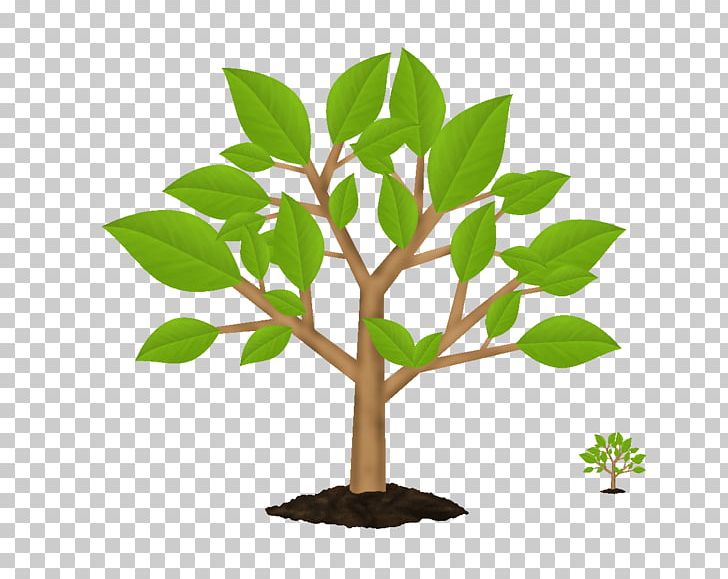 Tree Symbol Green PNG, Clipart, Branch, Clip Art, Decoration, Decorative Patterns, Download Free PNG Download