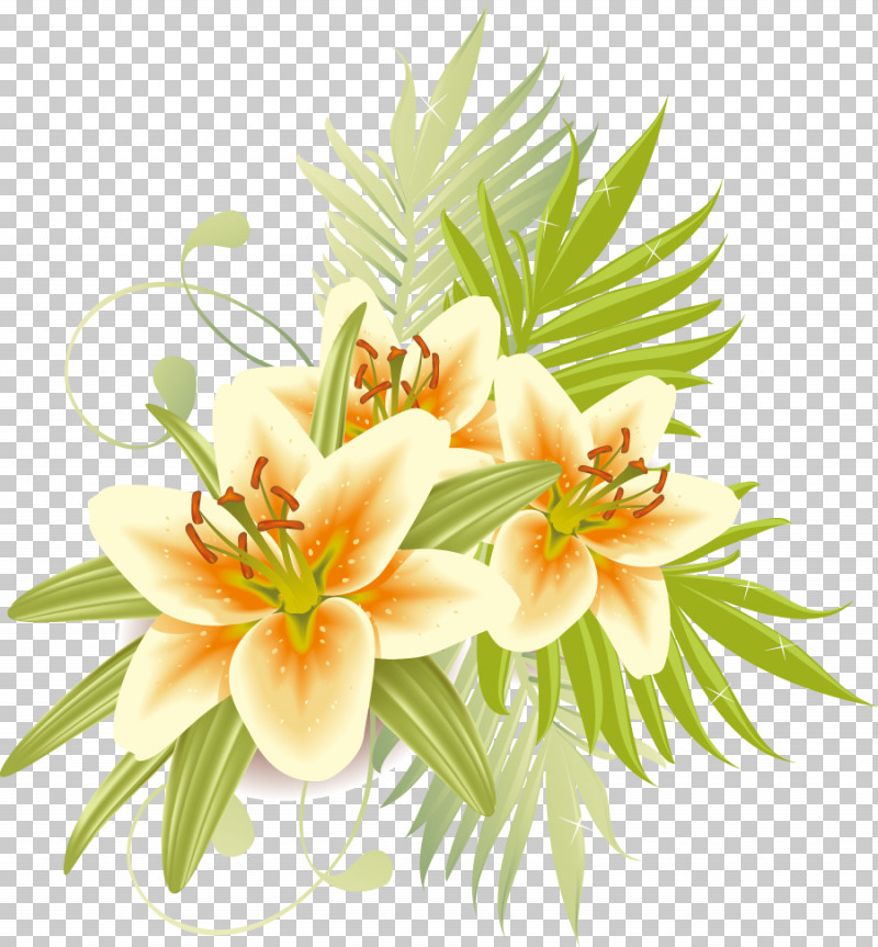 lily flower bouquet drawing