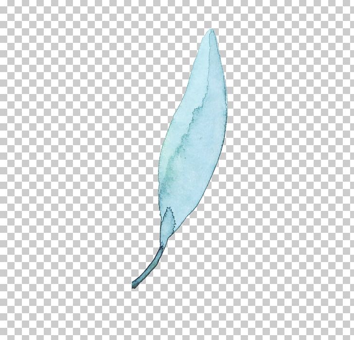 Leaf Feather Euclidean PNG, Clipart, Animals, Aqua, Download, Encapsulated Postscript, Euclidean Vector Free PNG Download