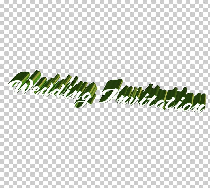 Logo Font PNG, Clipart, 3d Letters, Author, Biography, Brand, Grass Free PNG Download