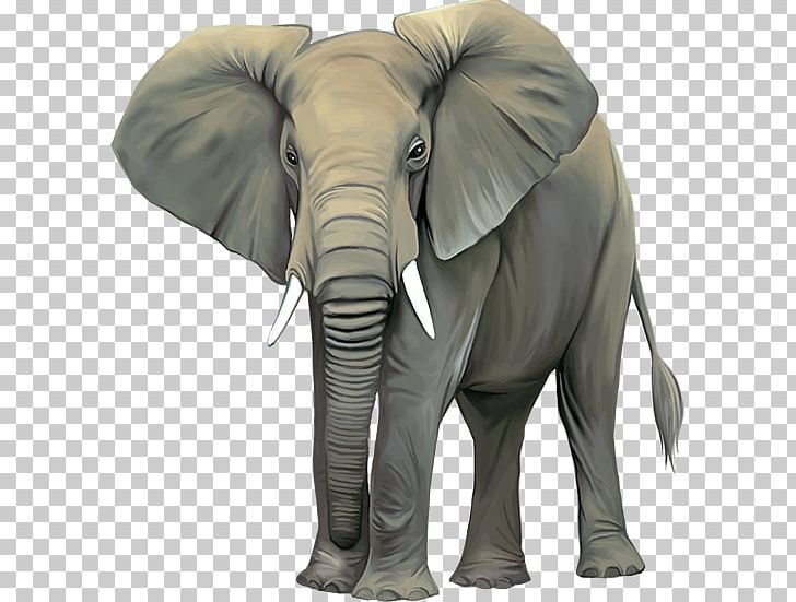 African Bush Elephant Elephantidae Indian Elephant Stock Photography PNG, Clipart, 96 Elephants, African Bush Elephant, African Elephant, Asian Elephant, Drawing Free PNG Download
