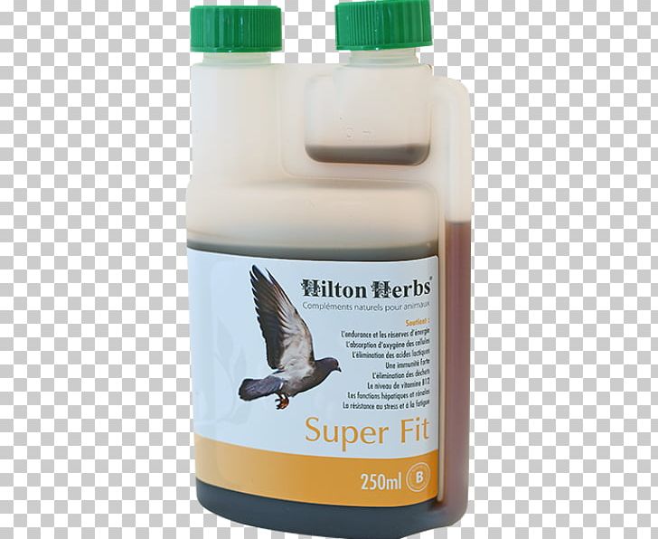 Columbidae Homing Pigeon Bird Racing Homer Dietary Supplement PNG, Clipart, Apple Cider Vinegar, Bird, Columbidae, Dietary Supplement, Domestic Pigeon Free PNG Download