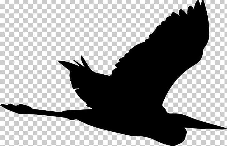 Crane Bird Great Blue Heron Silhouette PNG, Clipart, Beak, Bird, Bird Flight, Black And White, Crane Free PNG Download