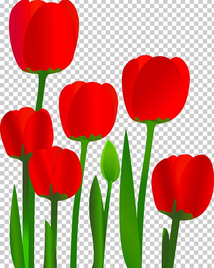 Tulip Flower Euclidean PNG, Clipart, Download, Encapsulated Postscript, Floristry, Flower, Flowering Plant Free PNG Download